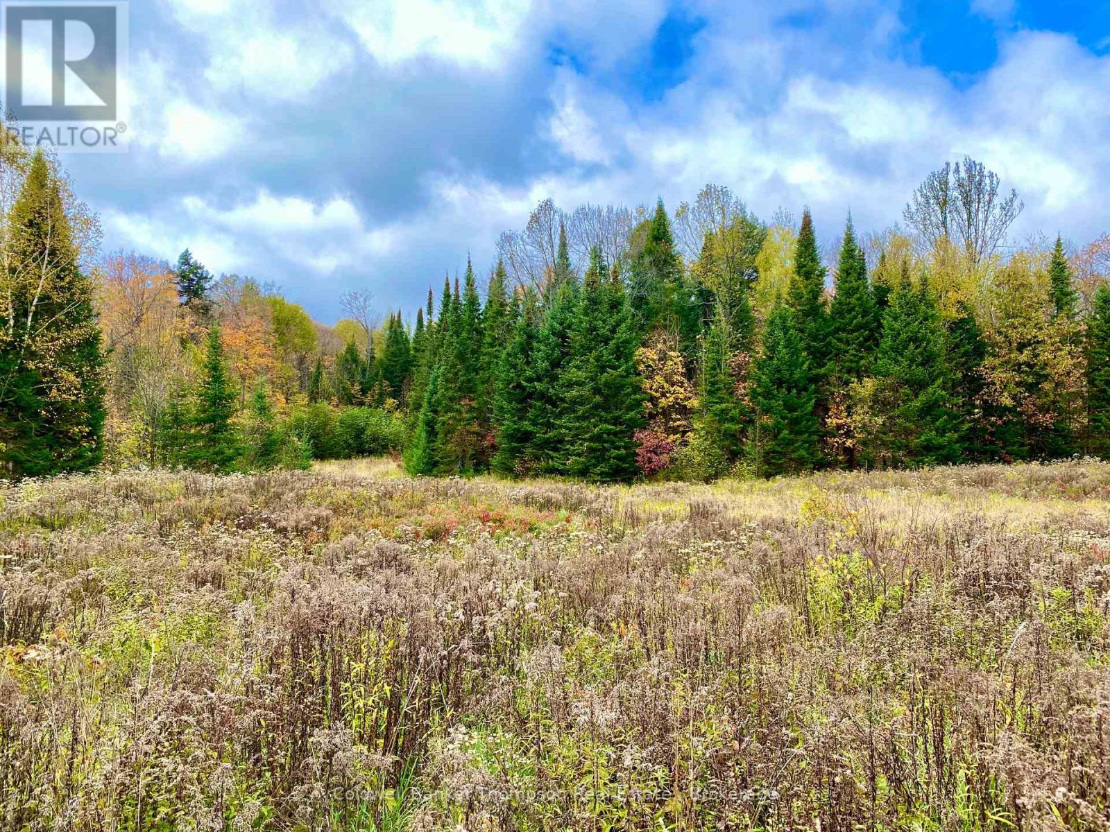 0 Brown Lane, Parry Sound Remote Area, Ontario  P0H 1S0 - Photo 14 - X12157399