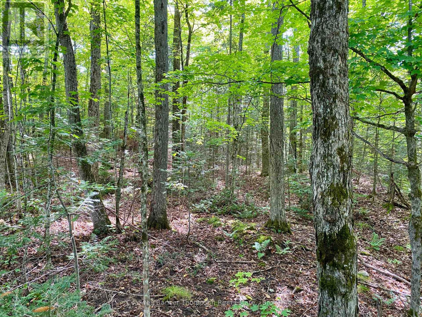 0 Brown Lane, Parry Sound Remote Area, Ontario  P0H 1S0 - Photo 15 - X12157399