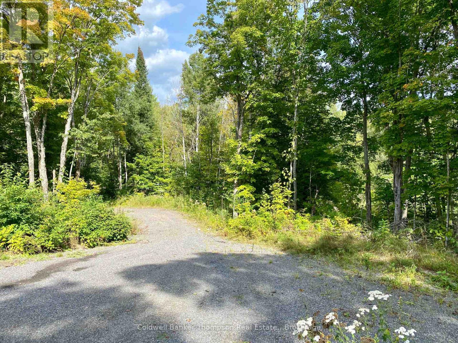 0 Brown Lane, Parry Sound Remote Area, Ontario  P0H 1S0 - Photo 16 - X12157399