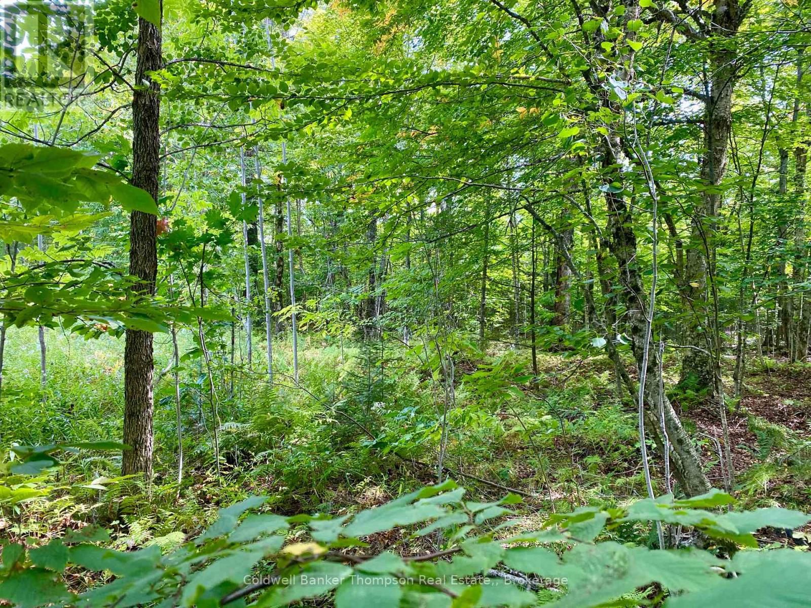 0 Brown Lane, Parry Sound Remote Area, Ontario  P0H 1S0 - Photo 17 - X12157399