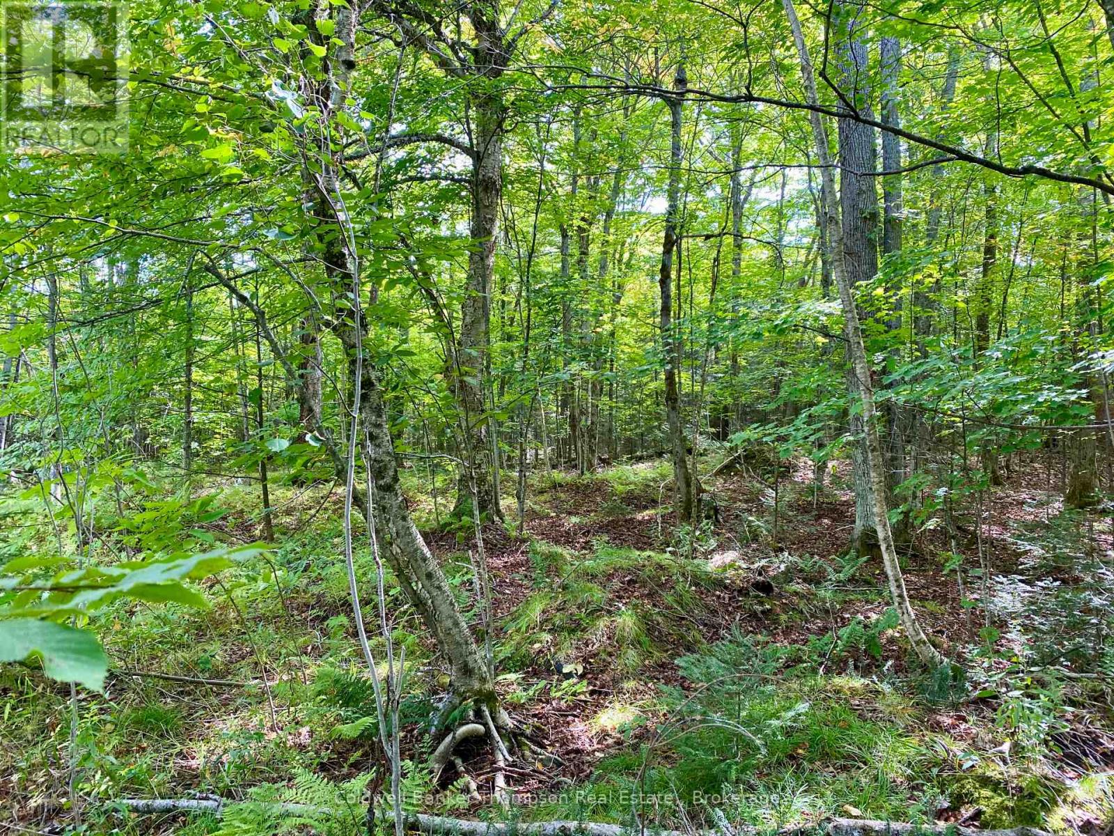 0 Brown Lane, Parry Sound Remote Area, Ontario  P0H 1S0 - Photo 18 - X12157399
