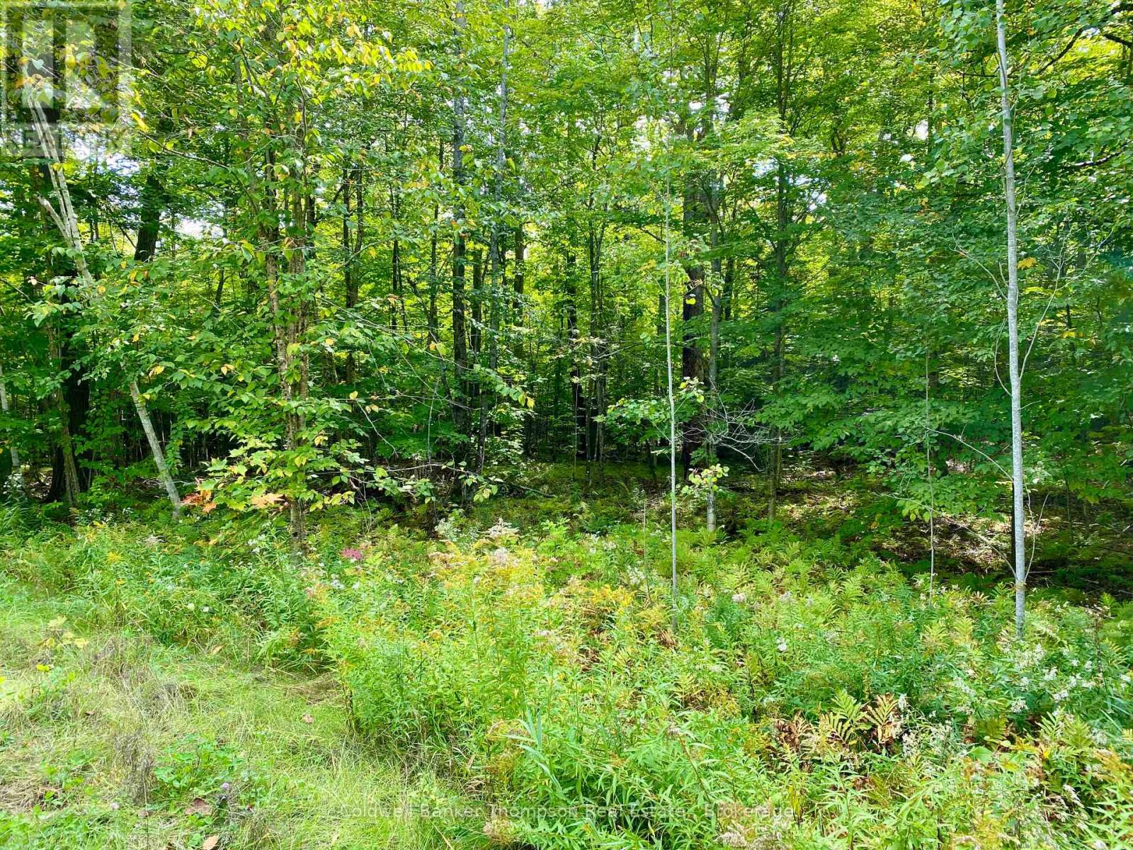0 Brown Lane, Parry Sound Remote Area, Ontario  P0H 1S0 - Photo 2 - X12157399