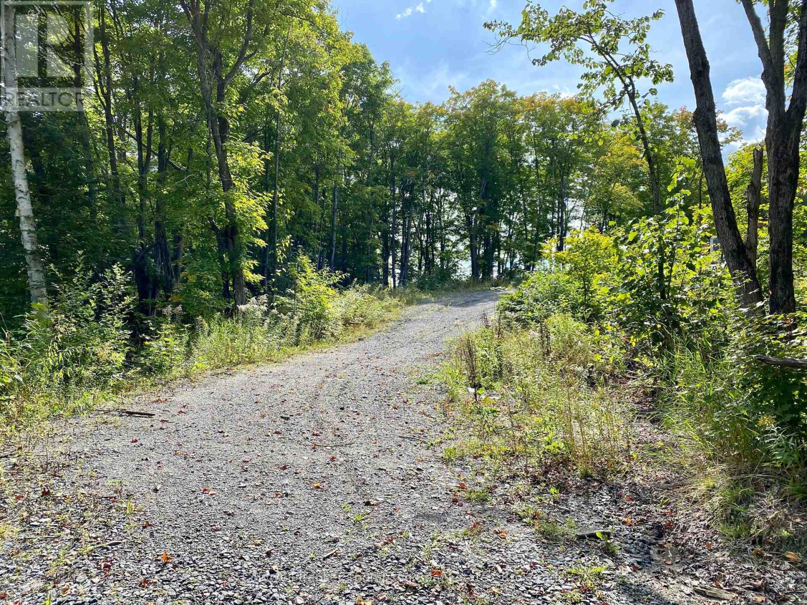 0 Brown Lane, Parry Sound Remote Area, Ontario  P0H 1S0 - Photo 29 - X12157399