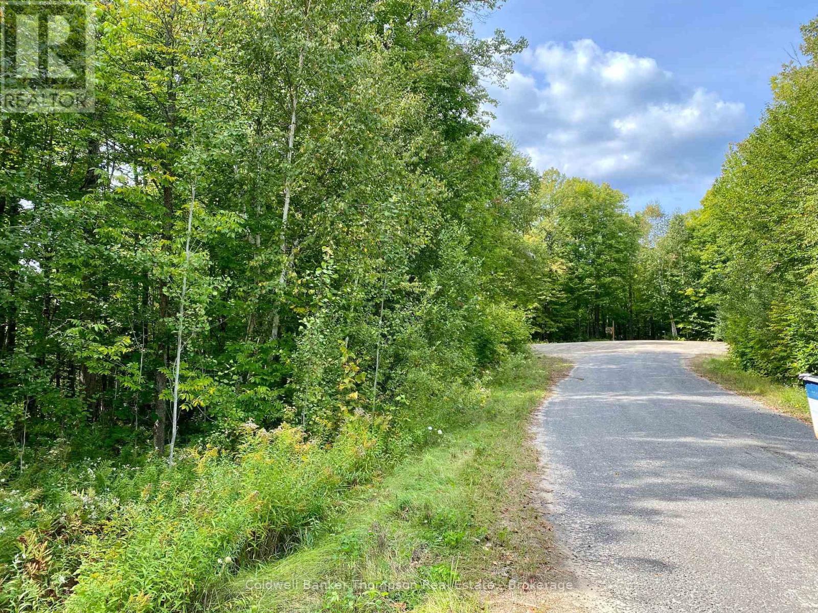 0 Brown Lane, Parry Sound Remote Area, Ontario  P0H 1S0 - Photo 30 - X12157399