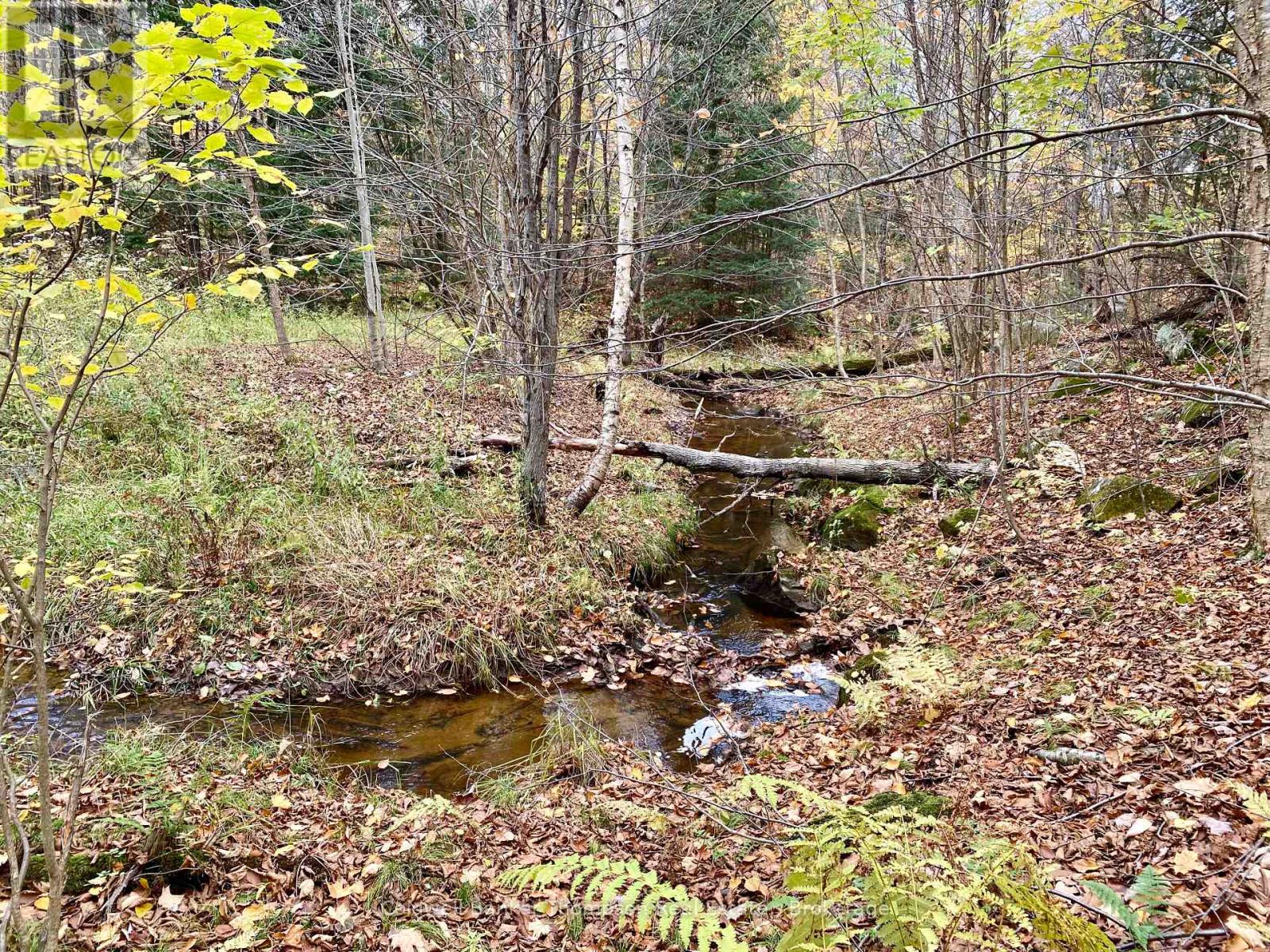 0 Brown Lane, Parry Sound Remote Area, Ontario  P0H 1S0 - Photo 5 - X12157399