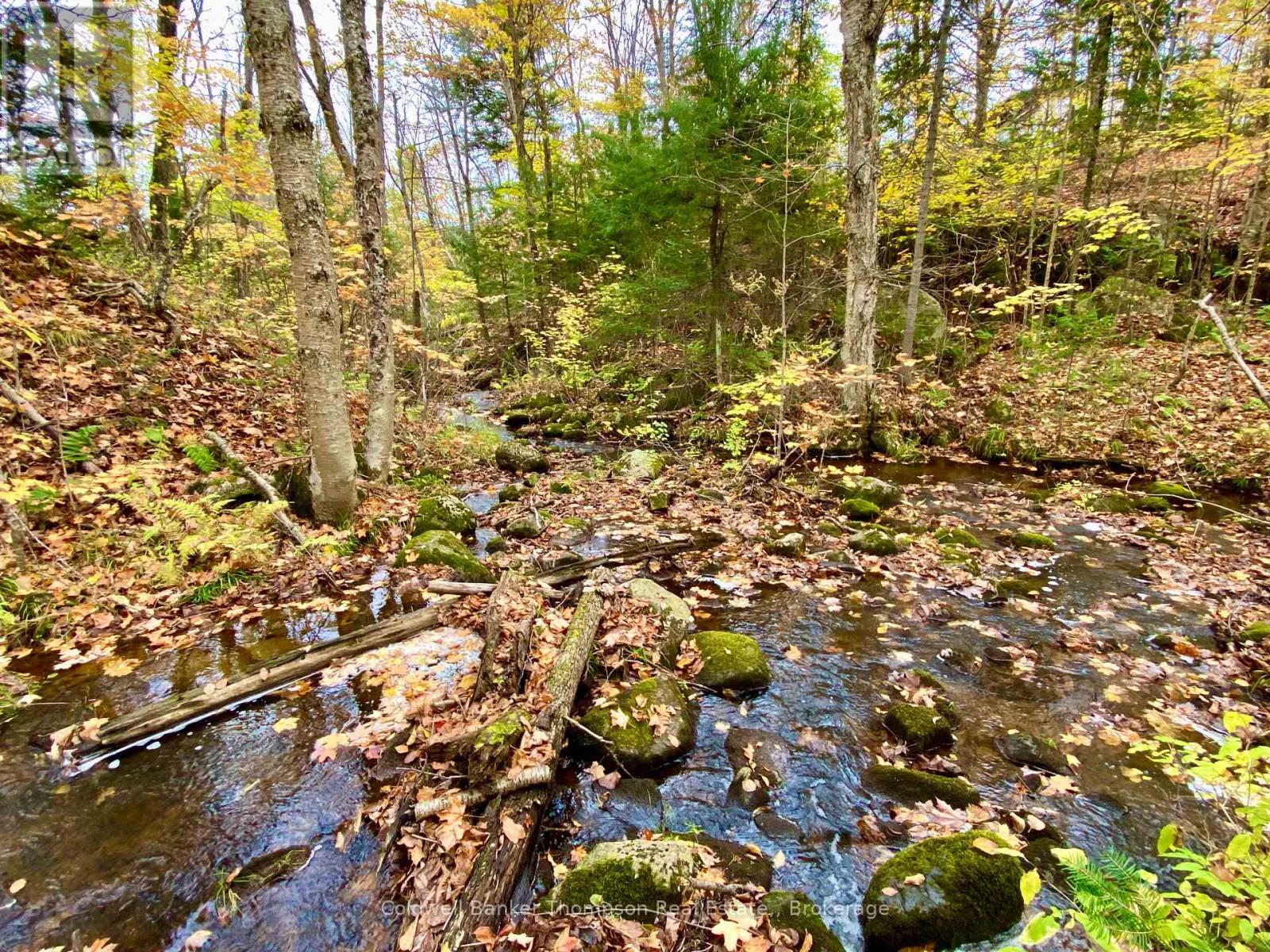 0 Brown Lane, Parry Sound Remote Area, Ontario  P0H 1S0 - Photo 6 - X12157399