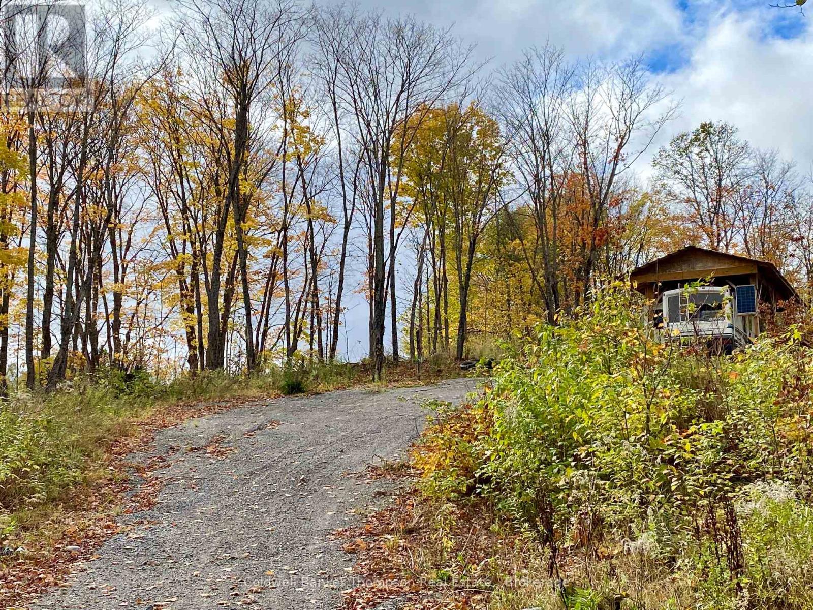 0 Brown Lane, Parry Sound Remote Area, Ontario  P0H 1S0 - Photo 9 - X12157399
