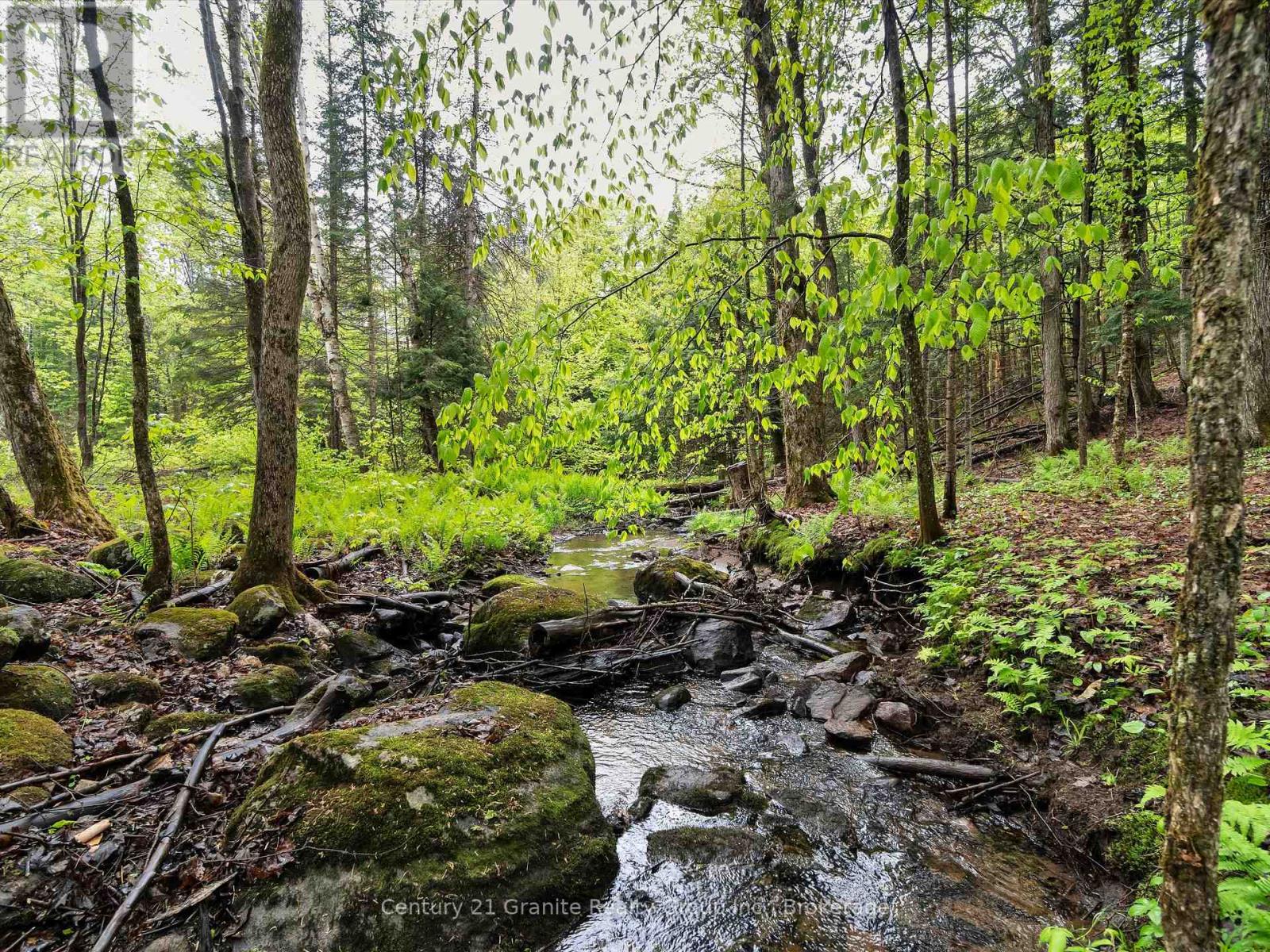 2302 Buckslide Road, Algonquin Highlands, Ontario  K0M 1J1 - Photo 14 - X12170461