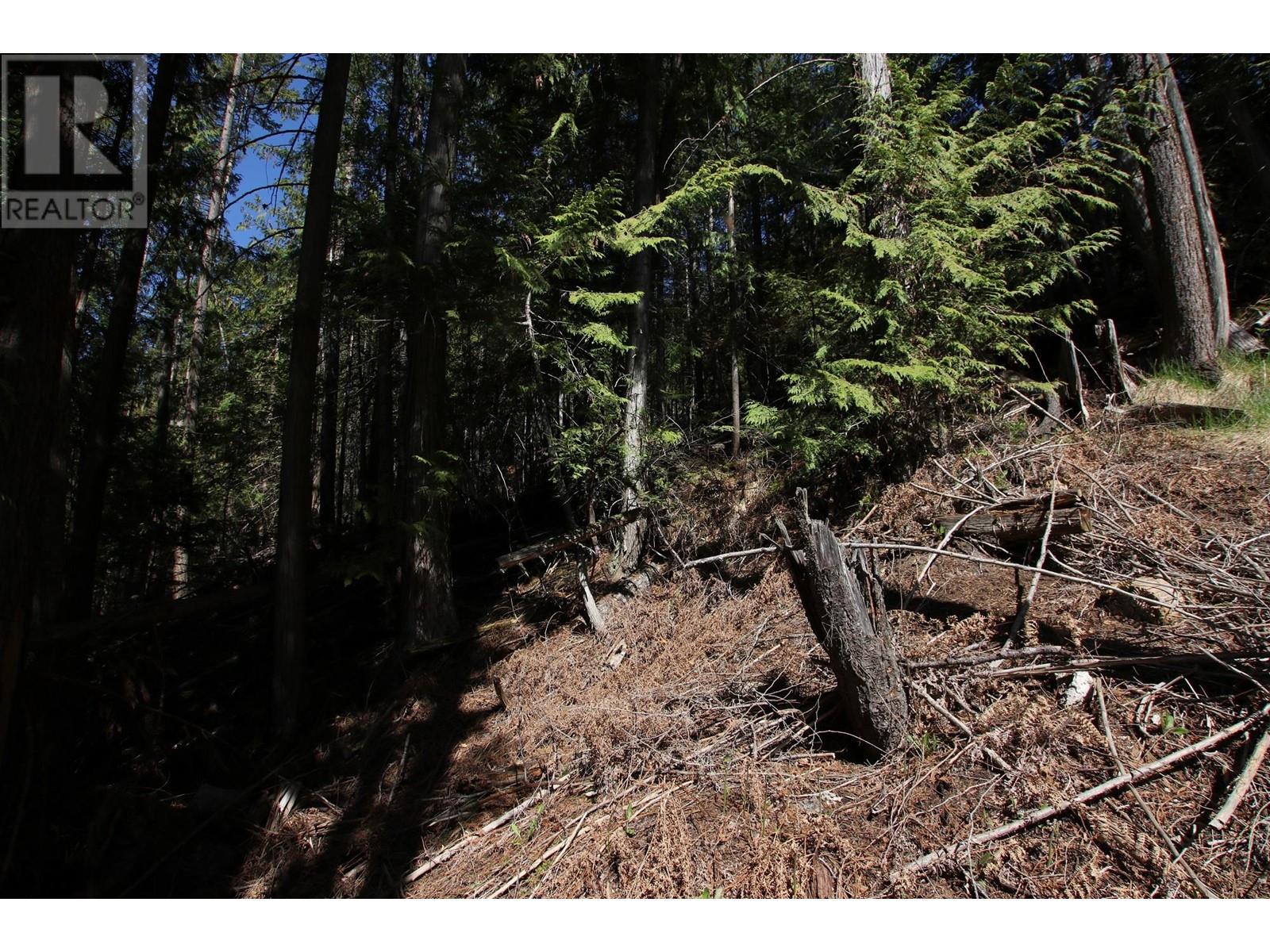 483 Bayview Road, Nakusp, British Columbia  V0G 1R1 - Photo 8 - 10344833