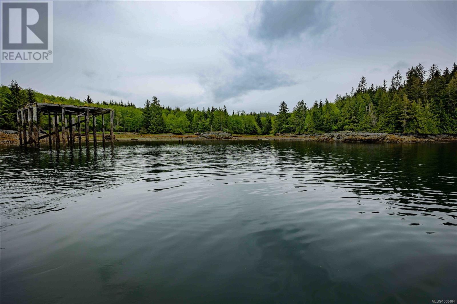Dl1833 Cracroft Island, West Cracroft Island, British Columbia  V0N 3J0 - Photo 11 - 1000404