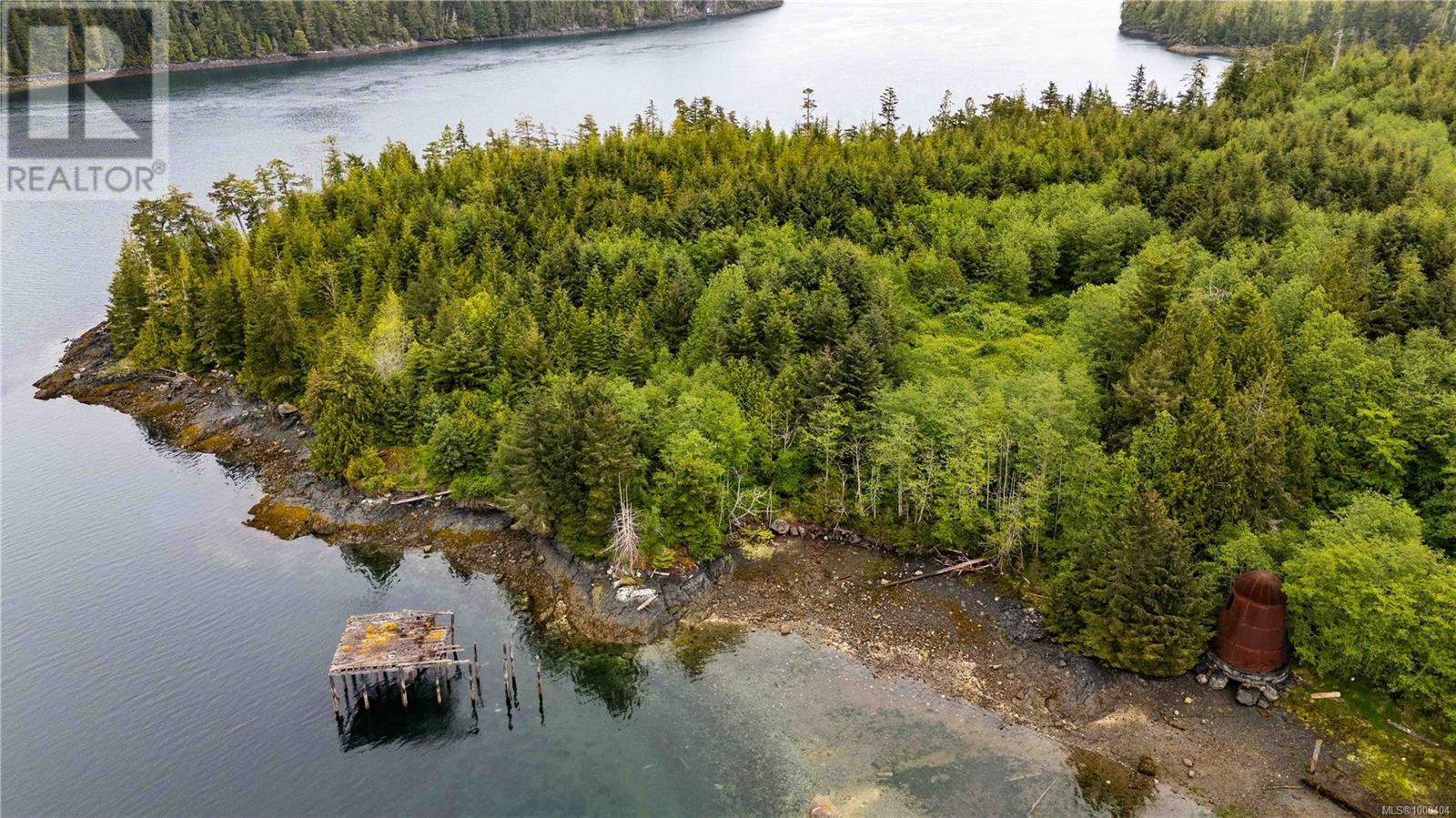 Dl1833 Cracroft Island, West Cracroft Island, British Columbia  V0N 3J0 - Photo 3 - 1000404