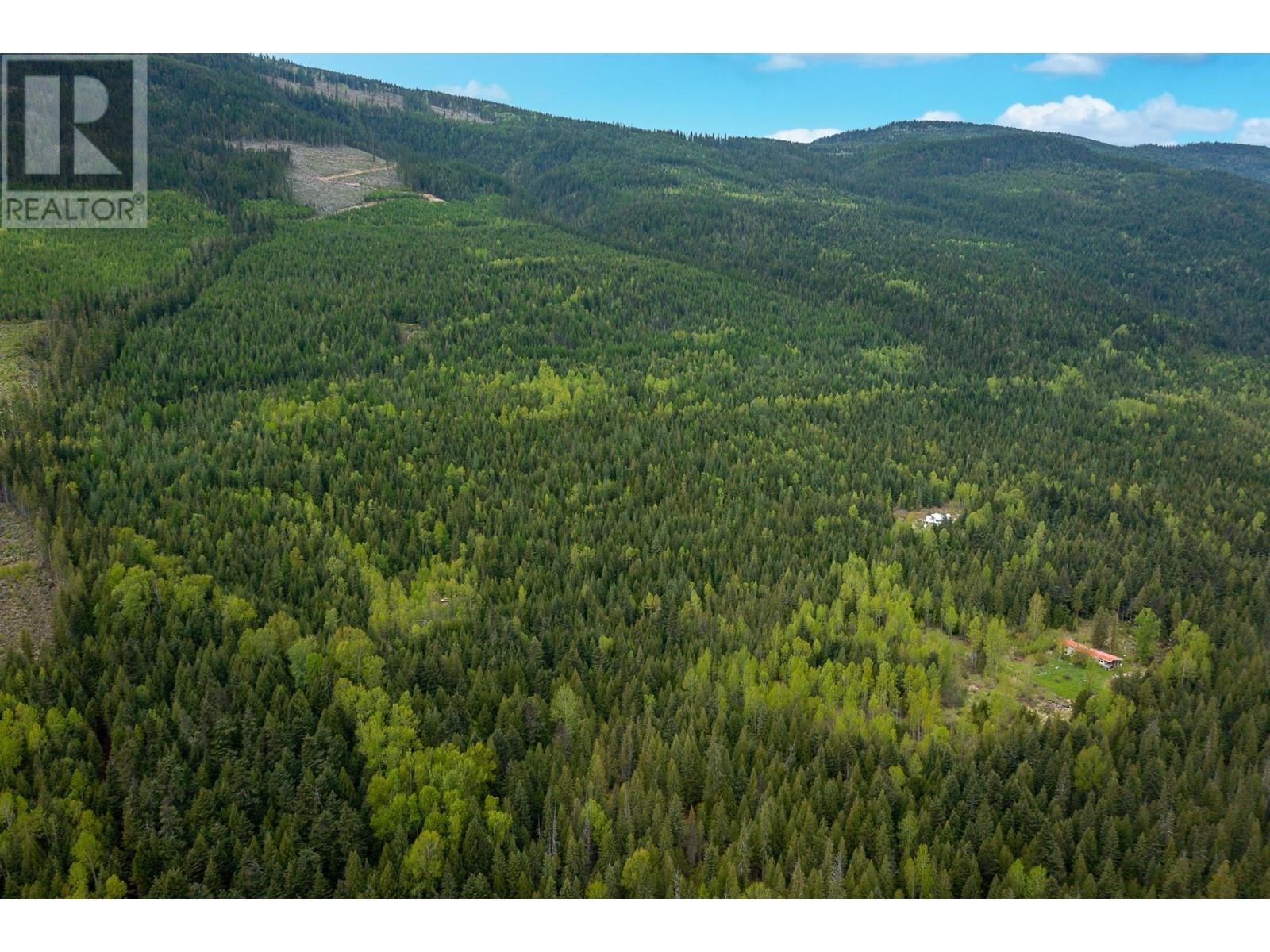 2410 Trinity Valley Road, Enderby, British Columbia  V0E 1V5 - Photo 10 - 10349121