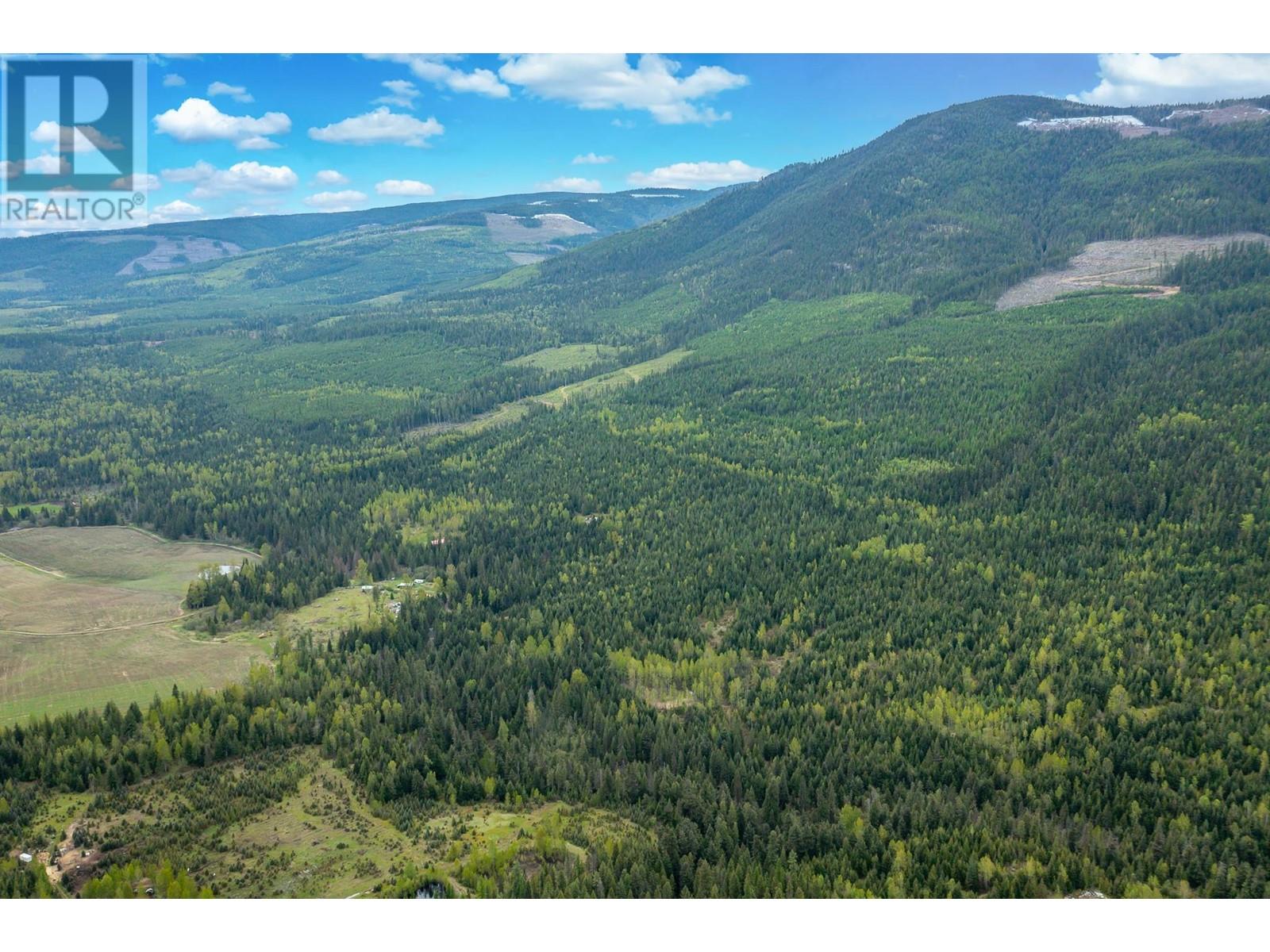 2410 Trinity Valley Road, Enderby, British Columbia  V0E 1V5 - Photo 11 - 10349121