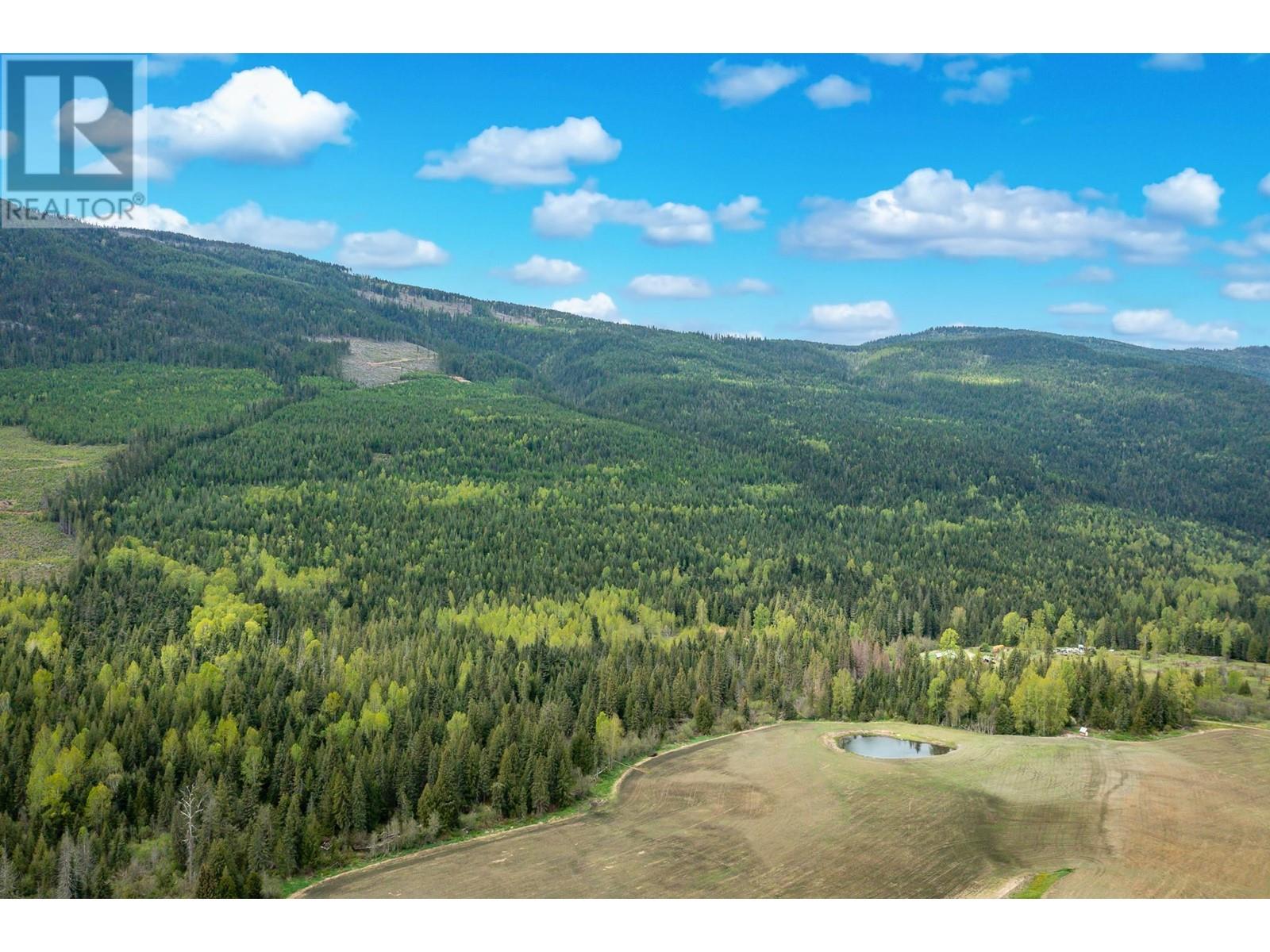 2410 Trinity Valley Road, Enderby, British Columbia  V0E 1V5 - Photo 13 - 10349121