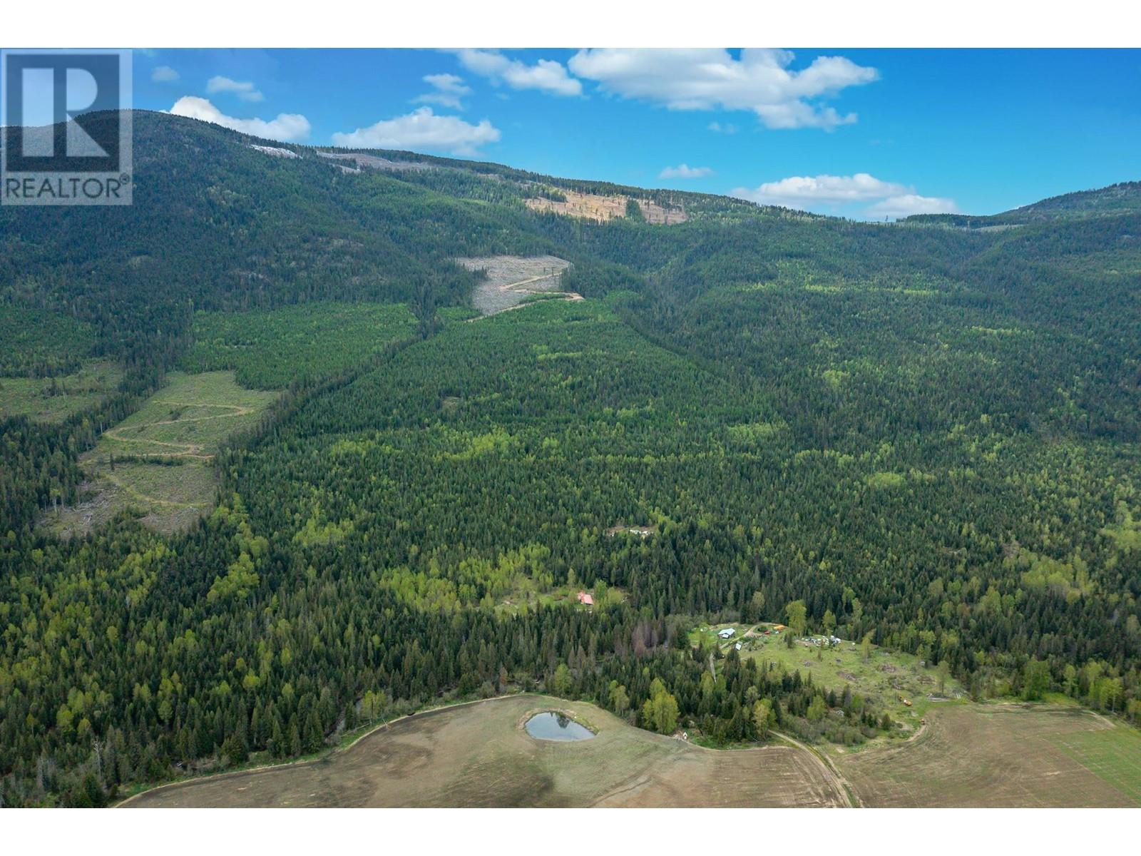 2410 Trinity Valley Road, Enderby, British Columbia  V0E 1V5 - Photo 17 - 10349121