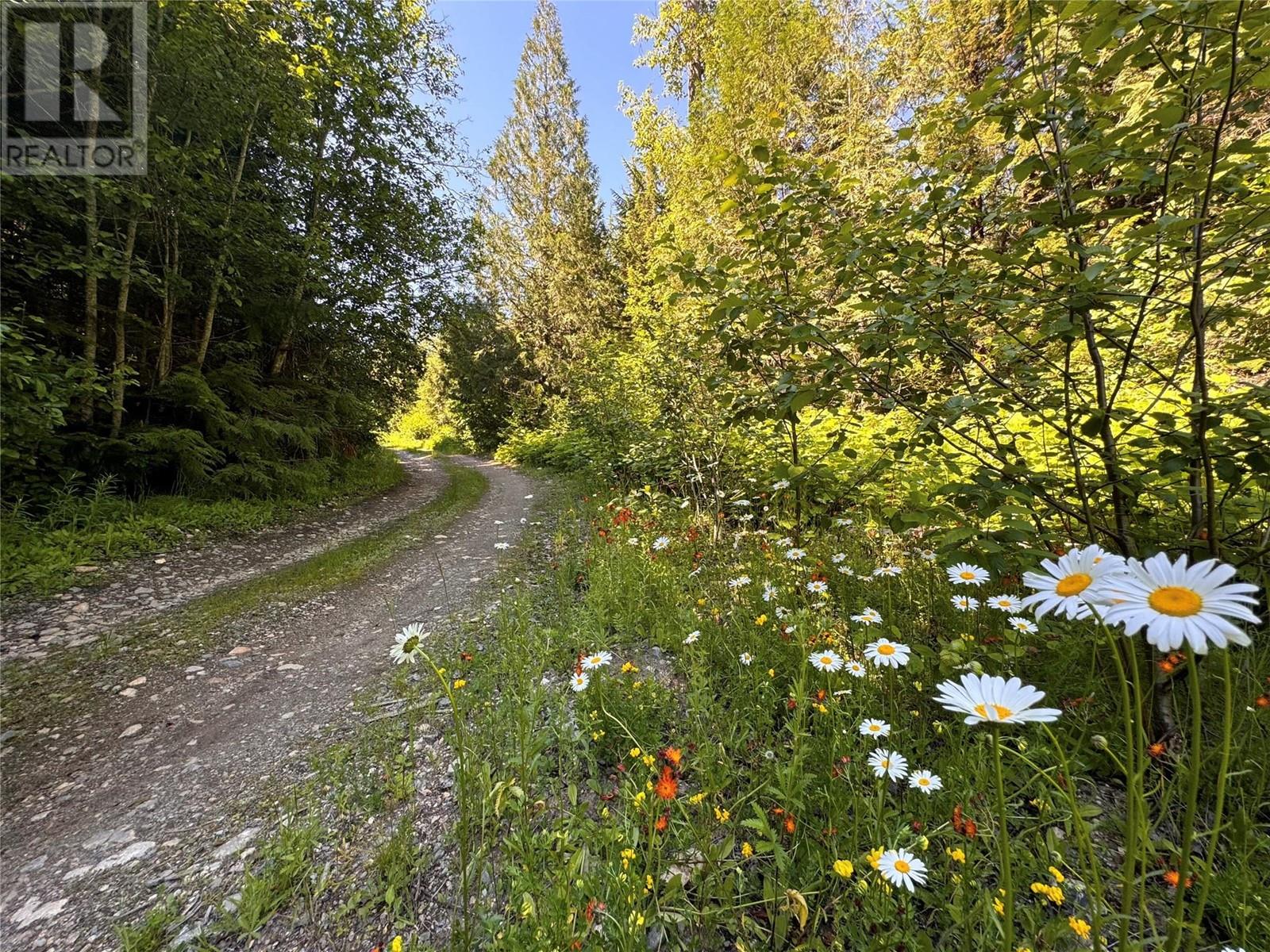 2410 Trinity Valley Road, Enderby, British Columbia  V0E 1V5 - Photo 19 - 10349121