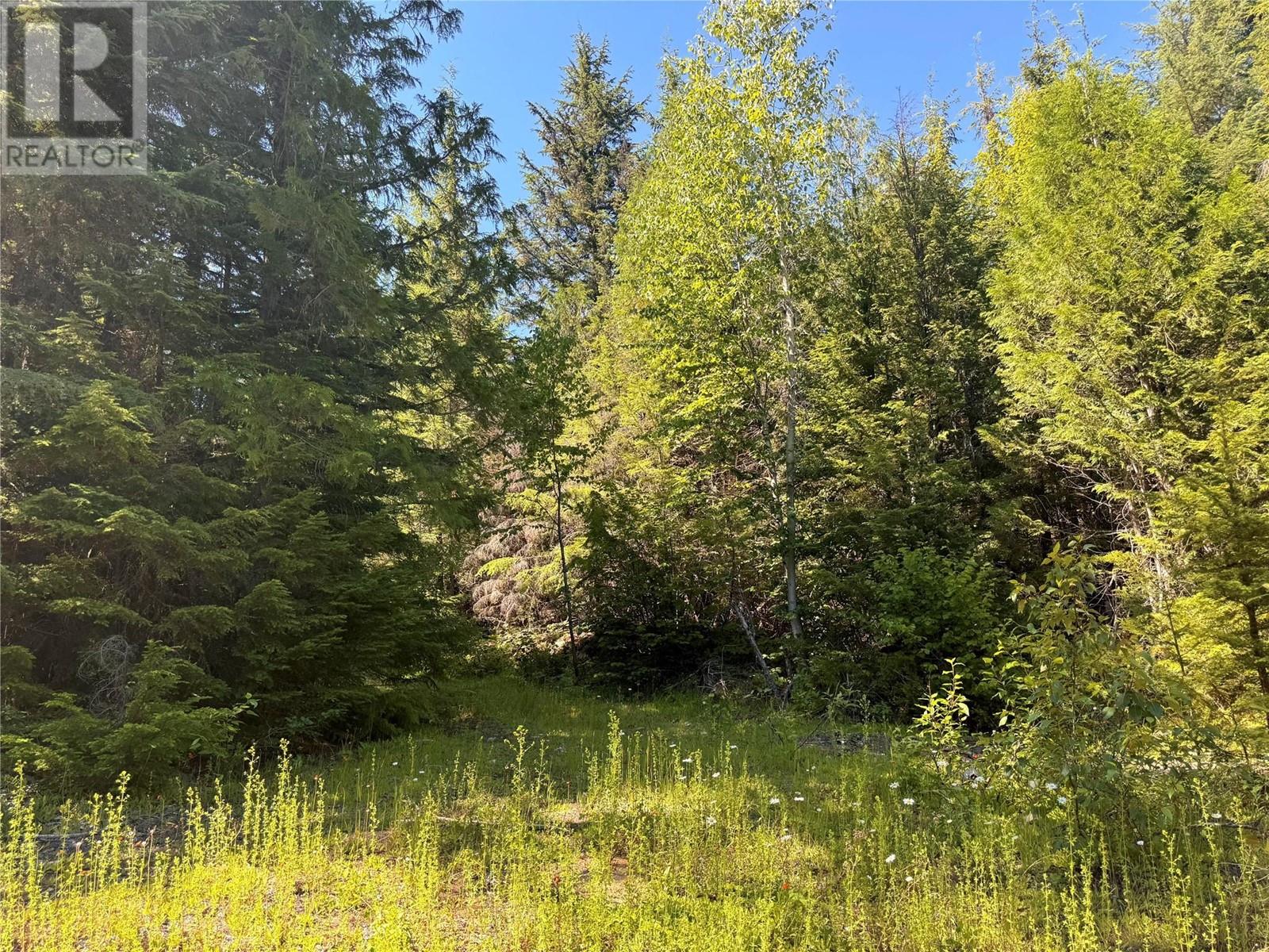 2410 Trinity Valley Road, Enderby, British Columbia  V0E 1V5 - Photo 31 - 10349121