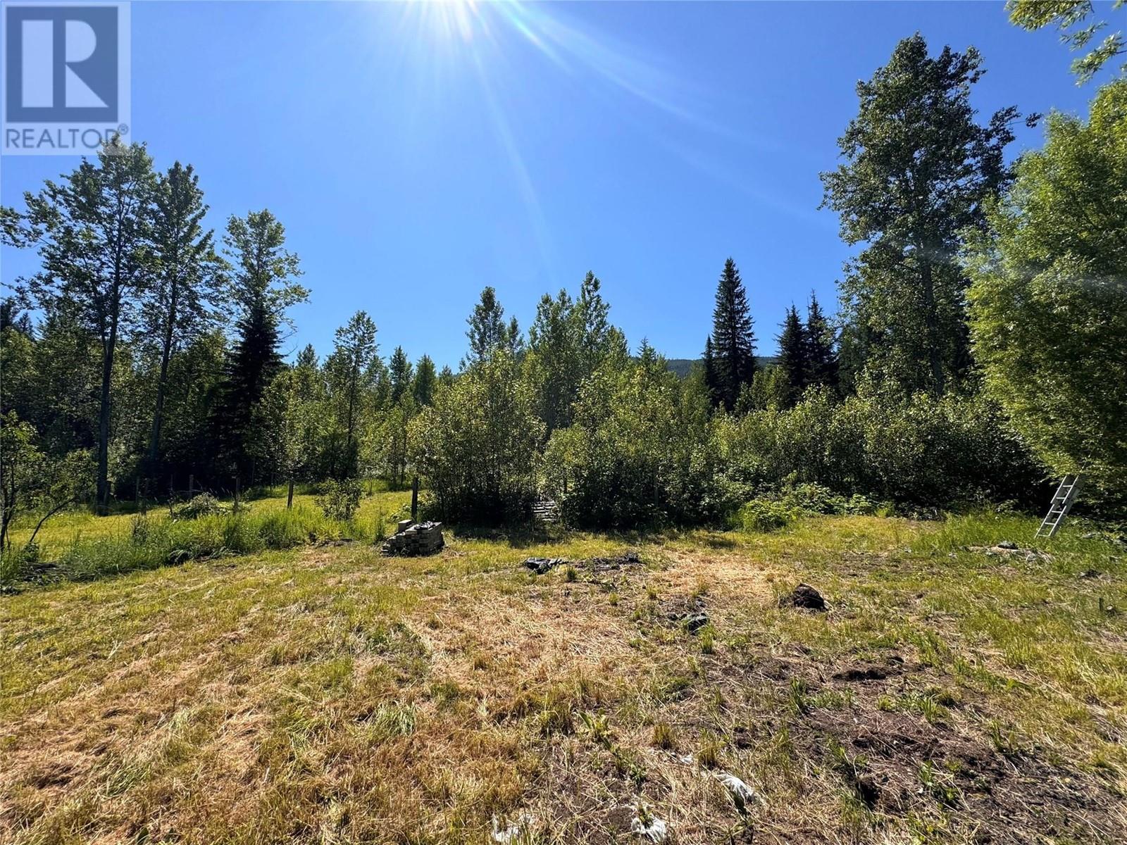 2410 Trinity Valley Road, Enderby, British Columbia  V0E 1V5 - Photo 52 - 10349121