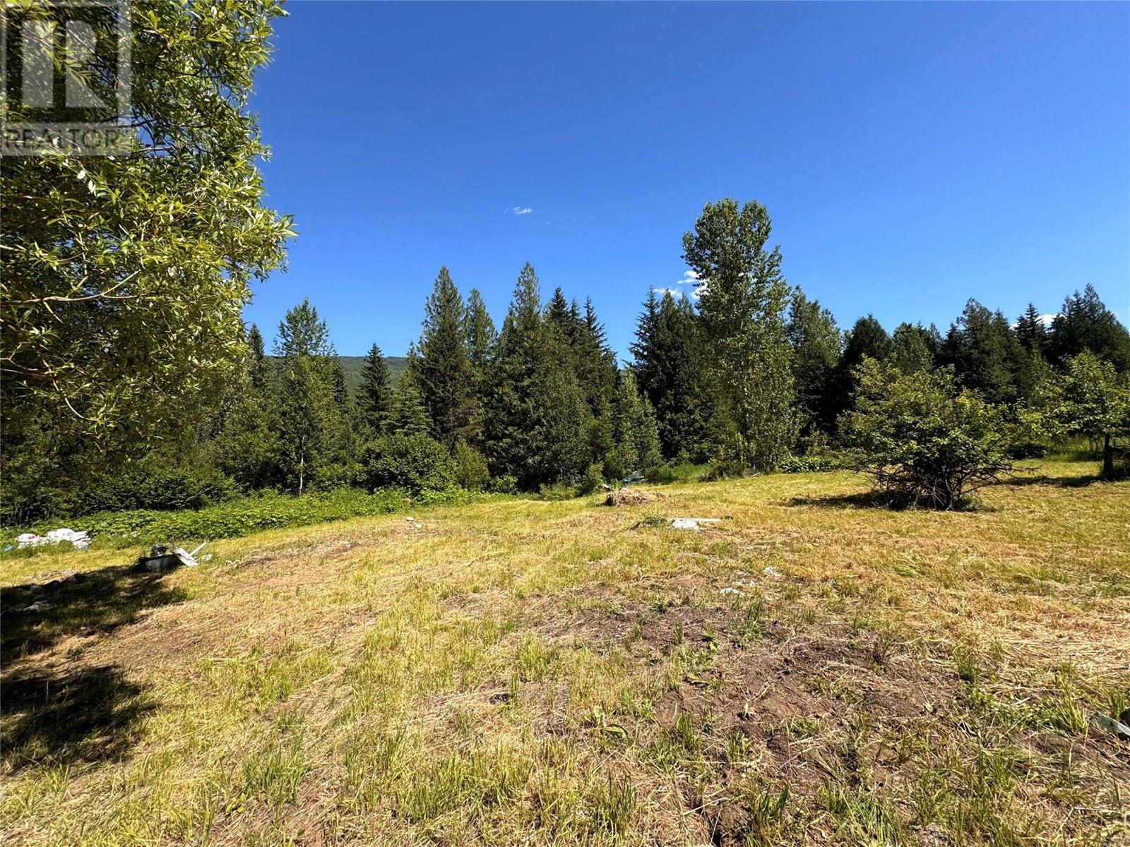 2410 Trinity Valley Road, Enderby, British Columbia  V0E 1V5 - Photo 53 - 10349121