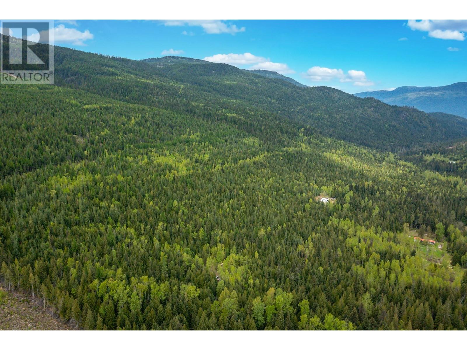 2410 Trinity Valley Road, Enderby, British Columbia  V0E 1V5 - Photo 6 - 10349121