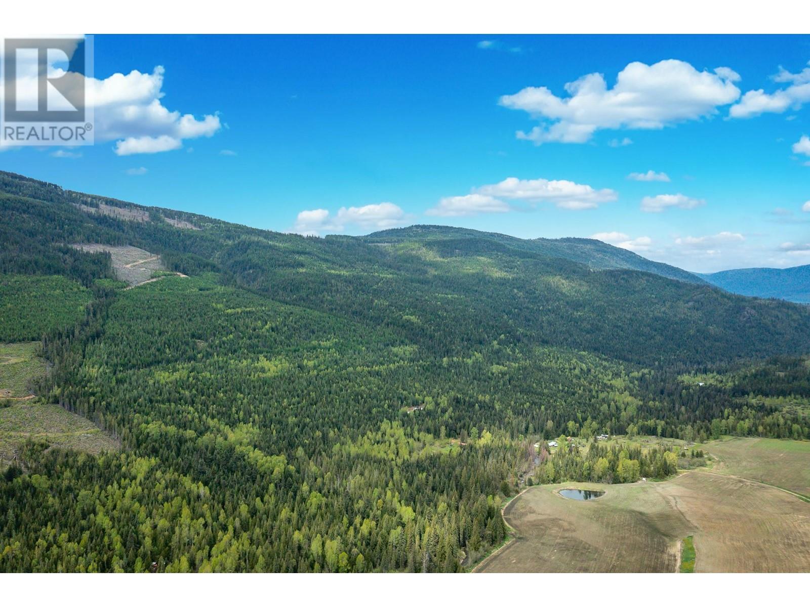 2410 Trinity Valley Road, Enderby, British Columbia  V0E 1V5 - Photo 7 - 10349121
