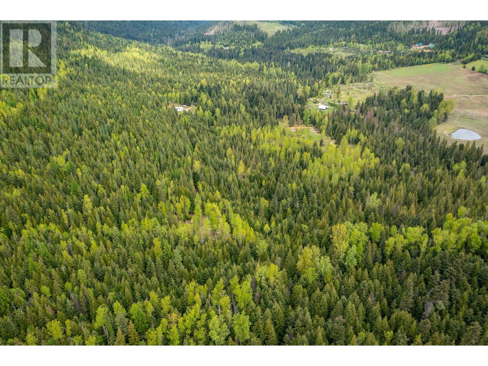 2410 Trinity Valley Road, Enderby, British Columbia  V0E 1V5 - Photo 8 - 10349121