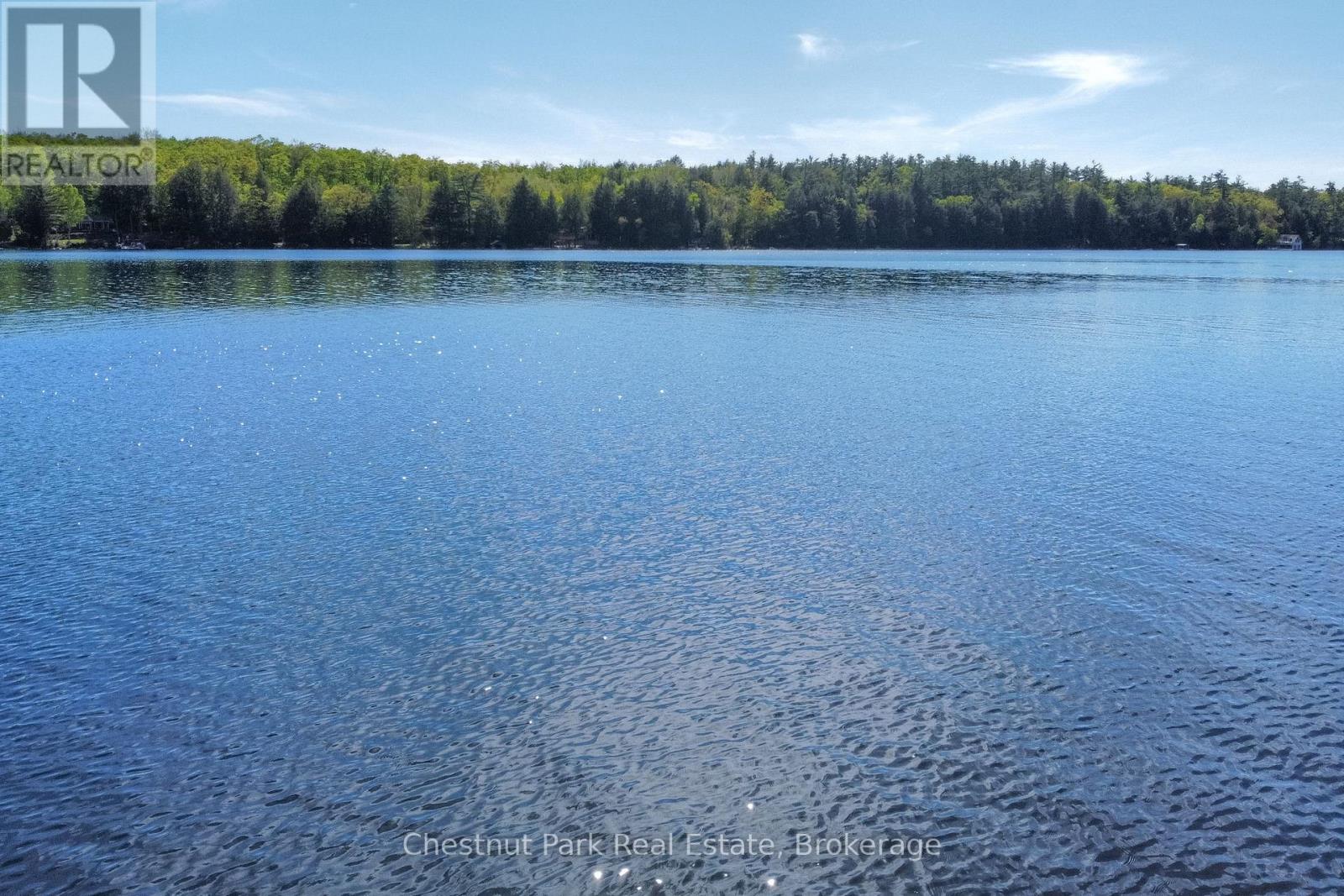 1066 Apiary Road, Muskoka Lakes, Ontario  P0B 1J0 - Photo 18 - X12170582