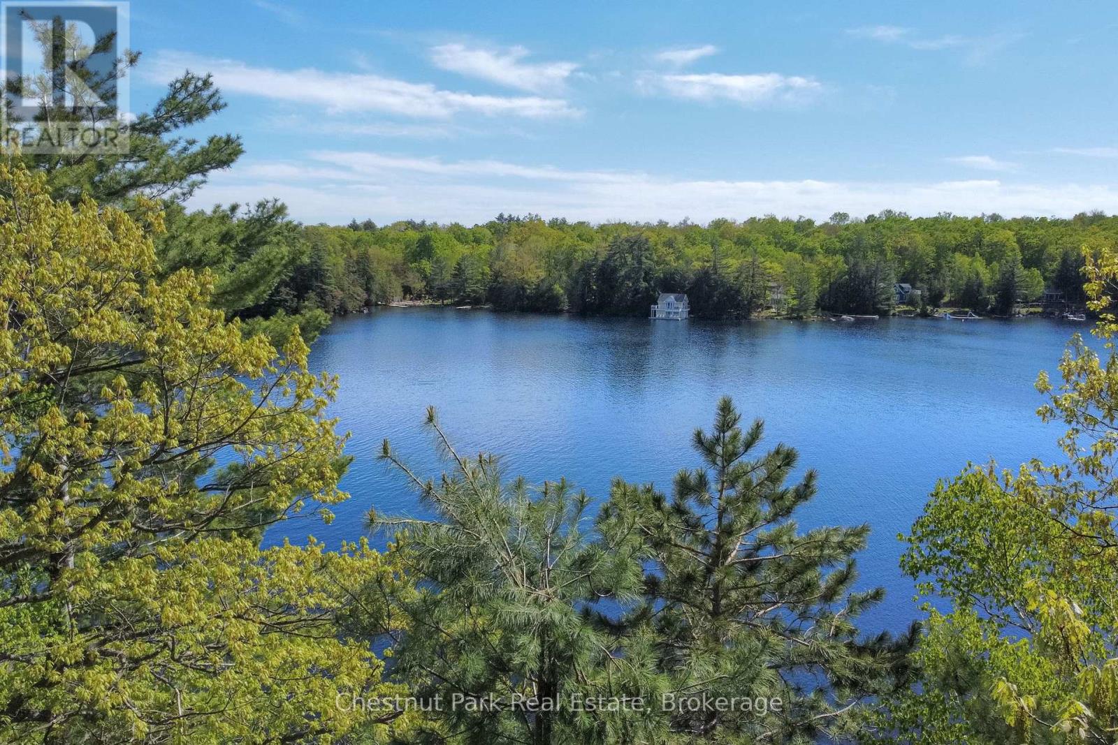 1066 Apiary Road, Muskoka Lakes, Ontario  P0B 1J0 - Photo 5 - X12170582