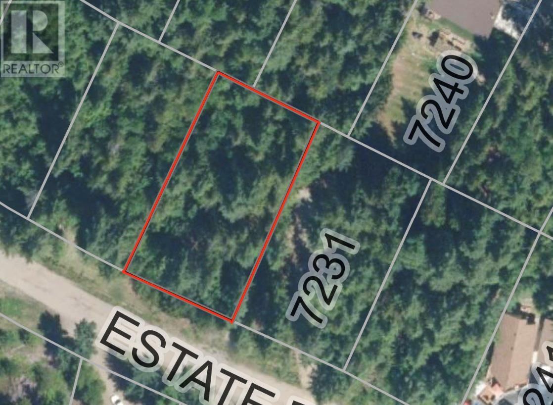 Lot 211 Estate Place, Anglemont, British Columbia  V0E 1M8 - Photo 8 - 10348580