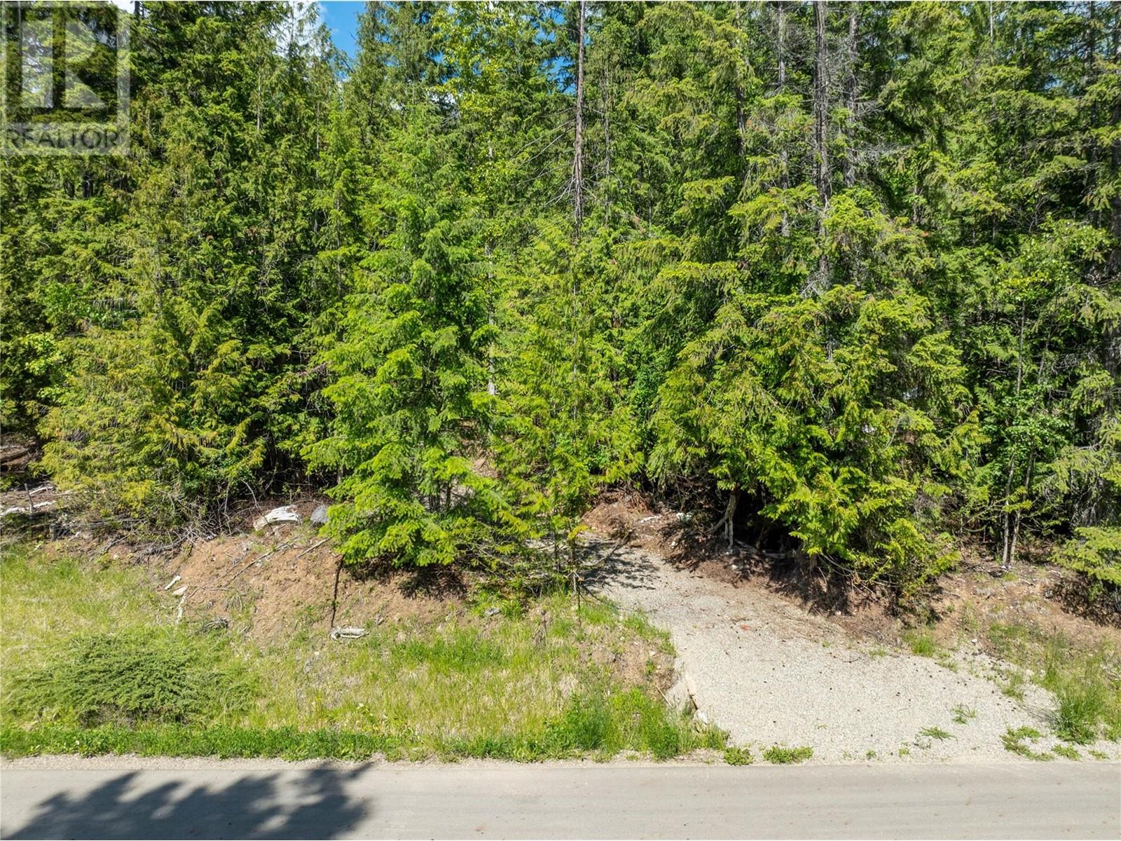 Lot 211 Estate Place, Anglemont, British Columbia  V0E 1M8 - Photo 11 - 10348580
