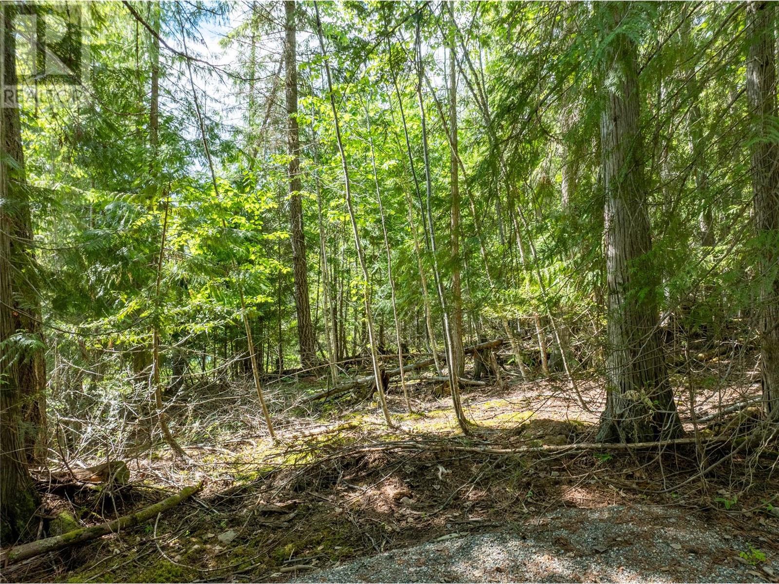 Lot 211 Estate Place, Anglemont, British Columbia  V0E 1M8 - Photo 20 - 10348580