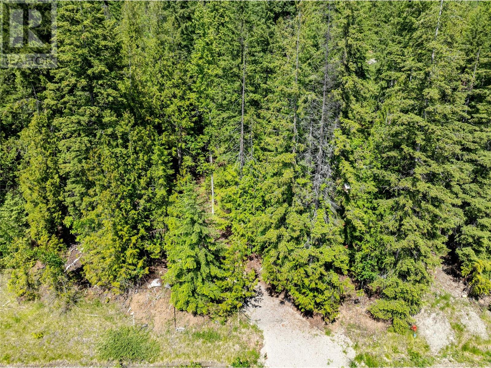 Lot 211 Estate Place, Anglemont, British Columbia  V0E 1M8 - Photo 12 - 10348580