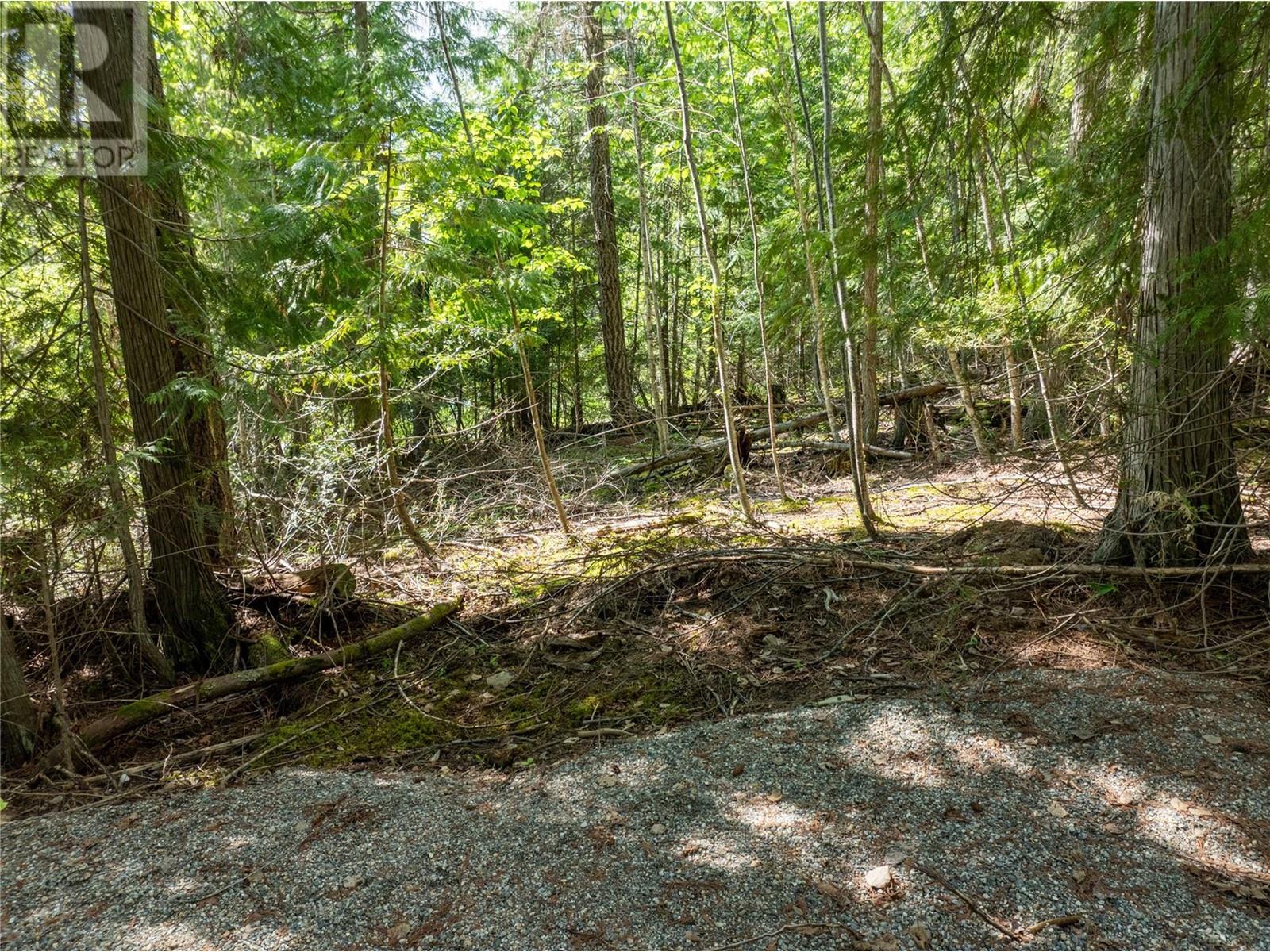 Lot 211 Estate Place, Anglemont, British Columbia  V0E 1M8 - Photo 18 - 10348580