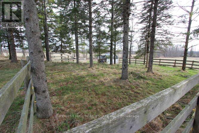 346 County Rd 40, Douro-Dummer, Ontario  K0L 2V0 - Photo 25 - X12170522
