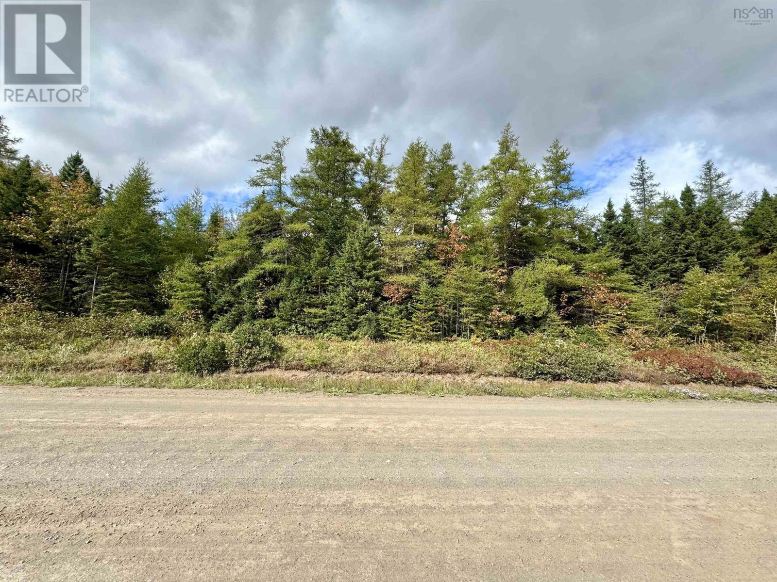 Lot 15 Walkerville Road, Walkerville, Nova Scotia  B0E 1J0 - Photo 5 - 202512070