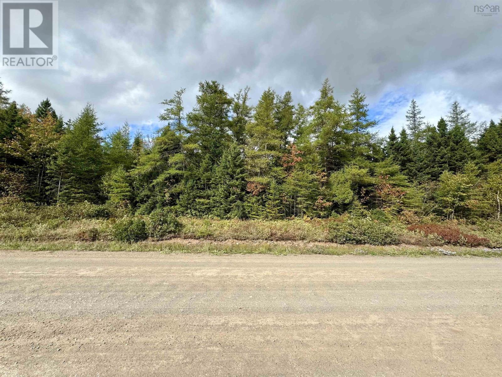 Lot 15 Walkerville Road, Walkerville, Nova Scotia  B0E 1J0 - Photo 9 - 202512070