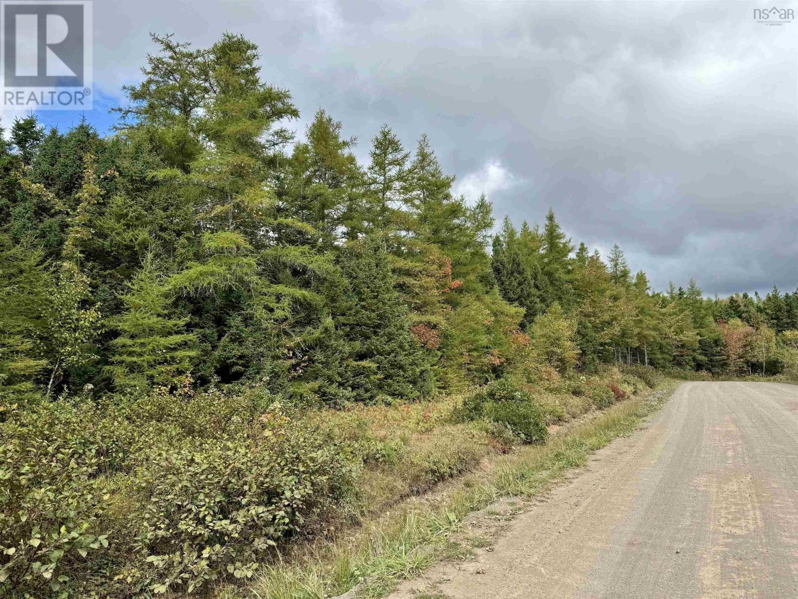 Lot 15 Walkerville Road, Walkerville, Nova Scotia  B0E 1J0 - Photo 10 - 202512070