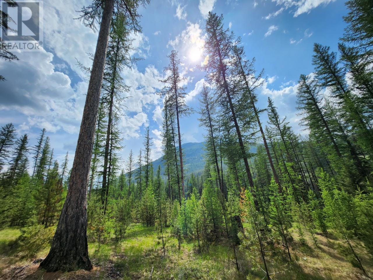 Lot 3 Whitetail Lake Road, Canal Flats, British Columbia  V0B 1B0 - Photo 12 - 2476007