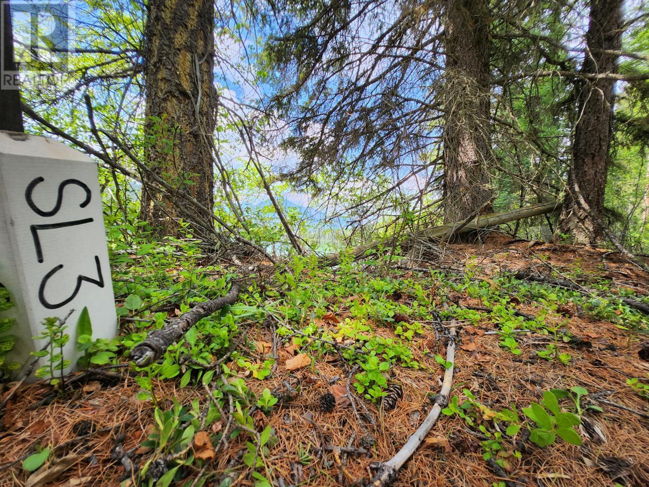 Lot 3 Whitetail Lake Road, Canal Flats, British Columbia  V0B 1B0 - Photo 37 - 2476007