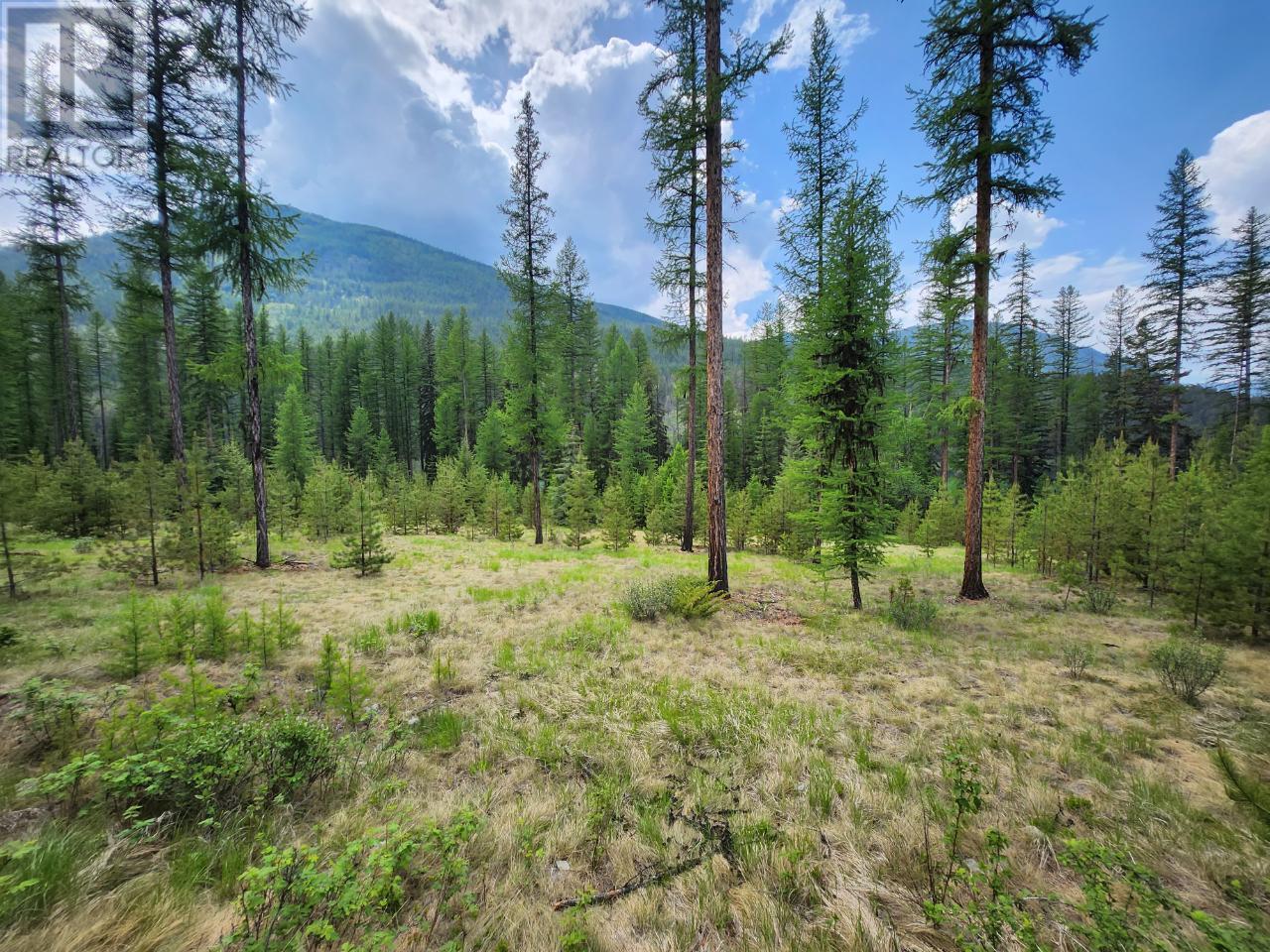 Lot 3 Whitetail Lake Road, Canal Flats, British Columbia  V0B 1B0 - Photo 27 - 2476007