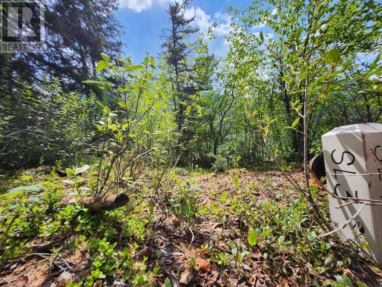 Lot 3 Whitetail Lake Road, Canal Flats, British Columbia  V0B 1B0 - Photo 24 - 2476007