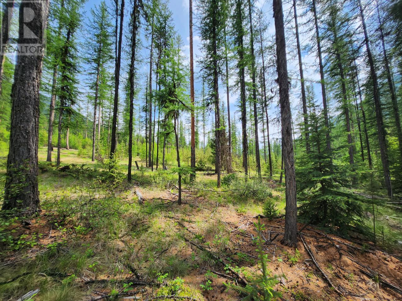 Lot 3 Whitetail Lake Road, Canal Flats, British Columbia  V0B 1B0 - Photo 29 - 2476007