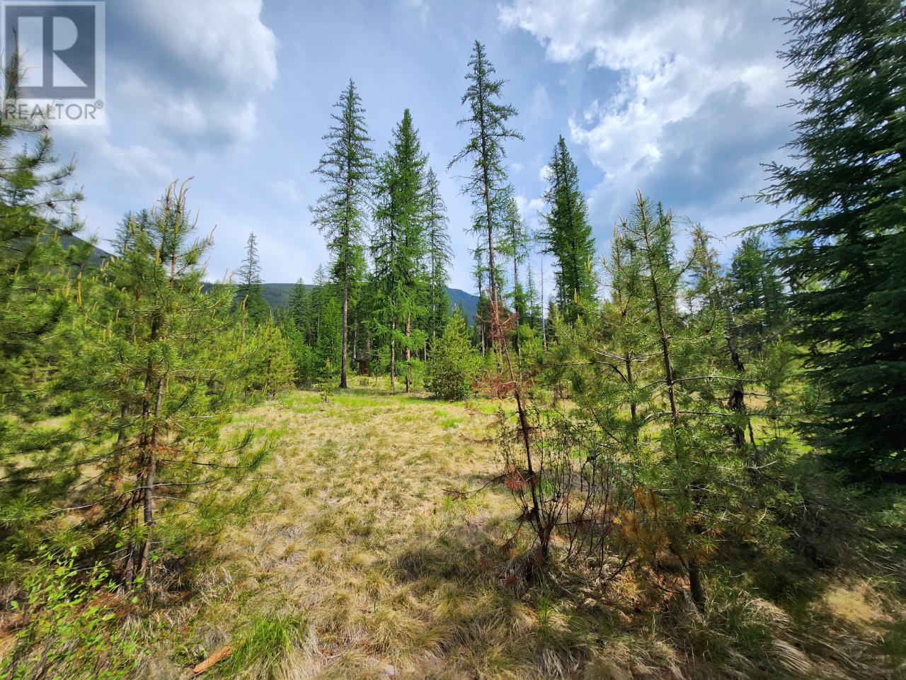 Lot 3 Whitetail Lake Road, Canal Flats, British Columbia  V0B 1B0 - Photo 32 - 2476007