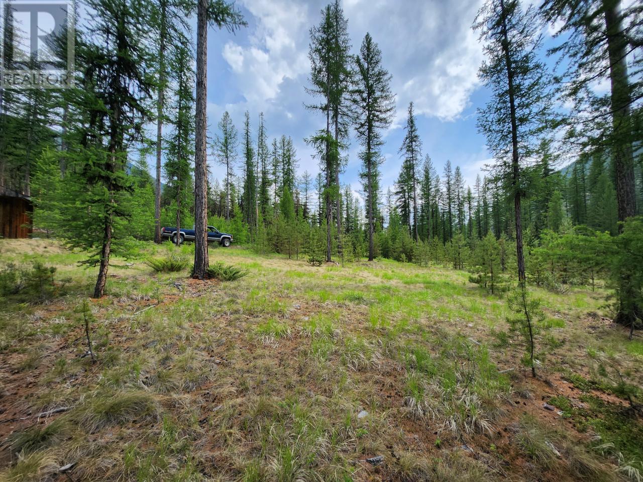 Lot 3 Whitetail Lake Road, Canal Flats, British Columbia  V0B 1B0 - Photo 34 - 2476007