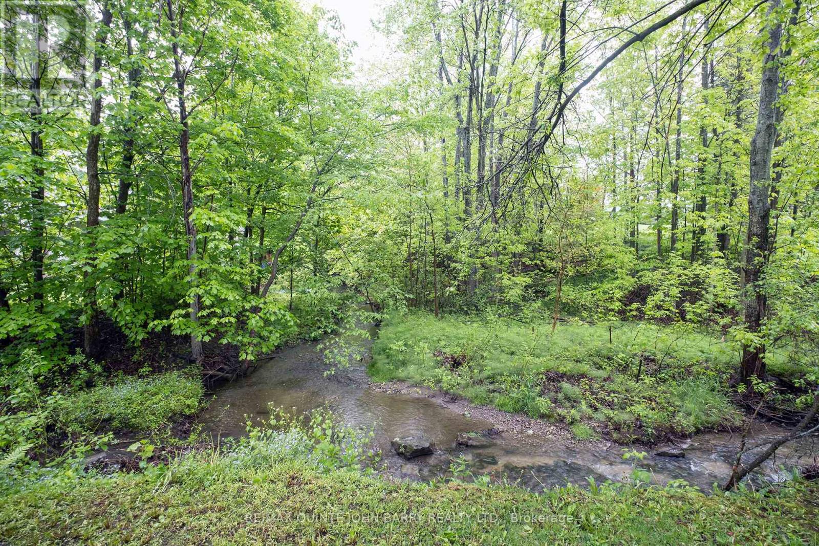 2 - 62 County Road 8, Greater Napanee, Ontario  K7R 3E7 - Photo 10 - X12170741