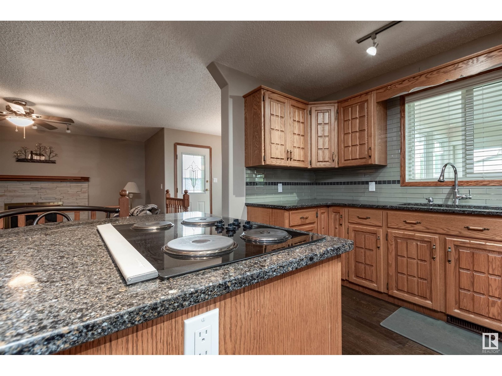 4126 46 St, Vegreville, Alberta  T9C 1C2 - Photo 10 - E4416765