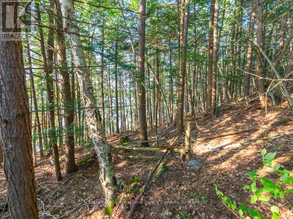 Lot#2 - 1250 Waldmere Road, Bracebridge, Ontario  P1L 1W8 - Photo 10 - X12170795
