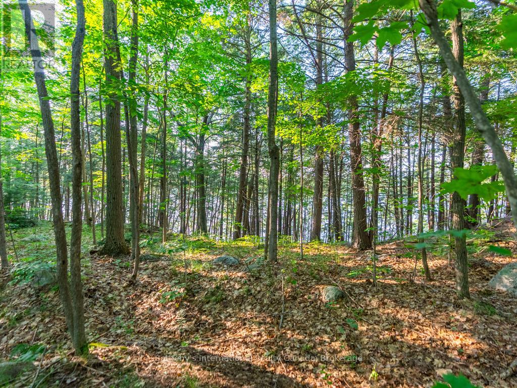 Lot#2 - 1250 Waldmere Road, Bracebridge, Ontario  P1L 1W8 - Photo 11 - X12170795