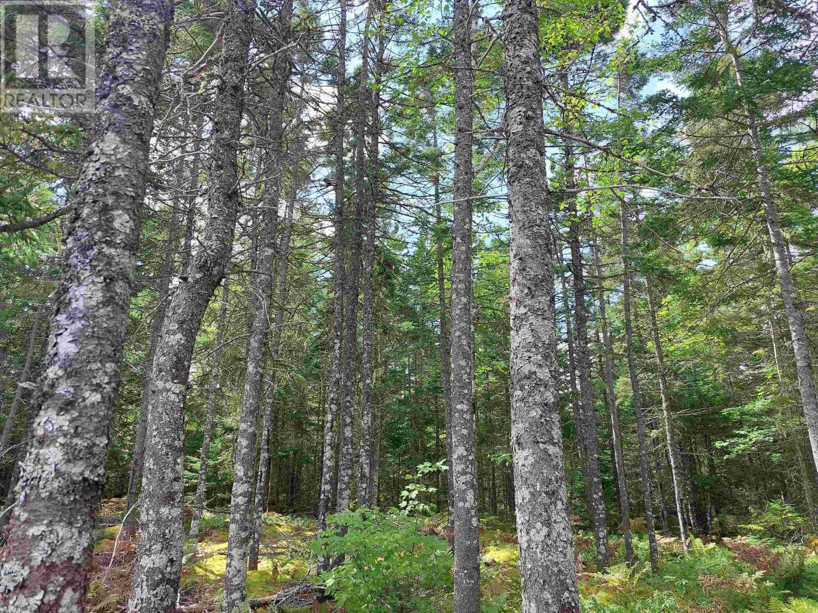 Lot 8 Lower River Rd., Hureauville, Nova Scotia  B0E 1J0 - Photo 12 - 202512161