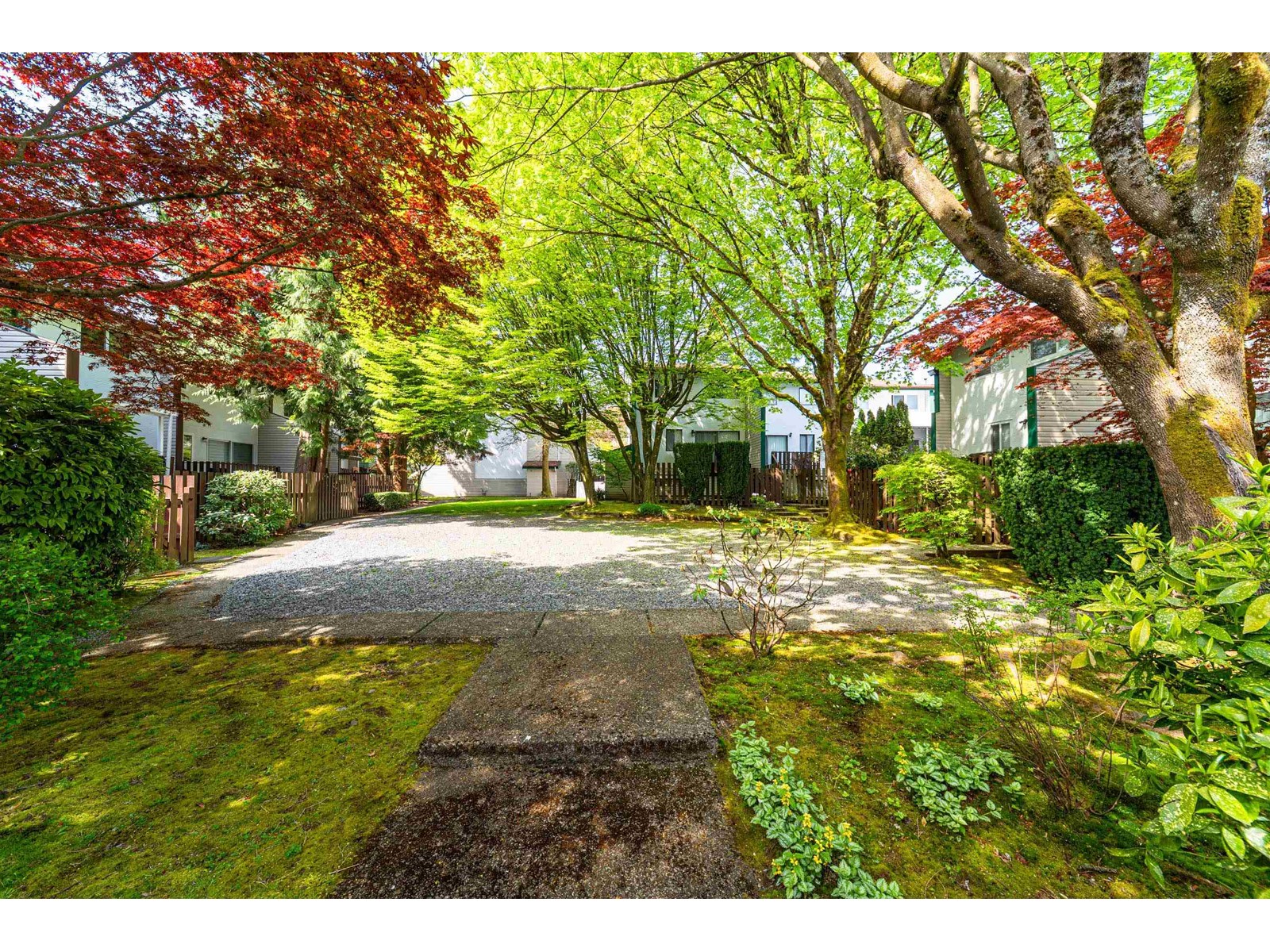 11 9383 121 Street, Surrey, British Columbia  V3V 6B9 - Photo 38 - R3006725